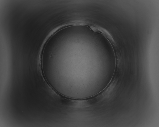 X0000100901192200806241246