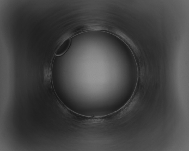 X0000100901193200806241246
