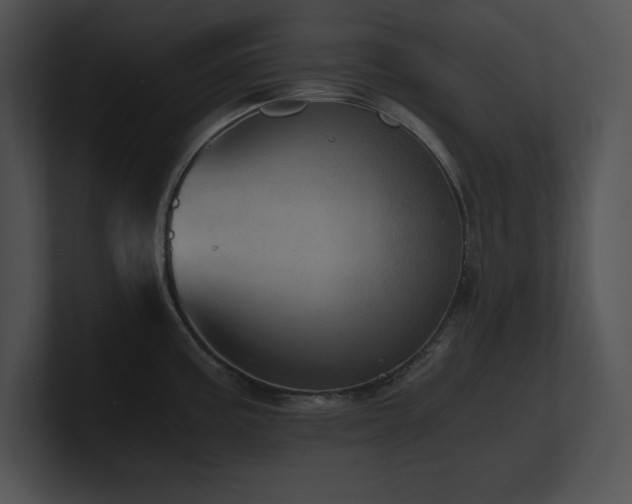 X0000100901195200806241246