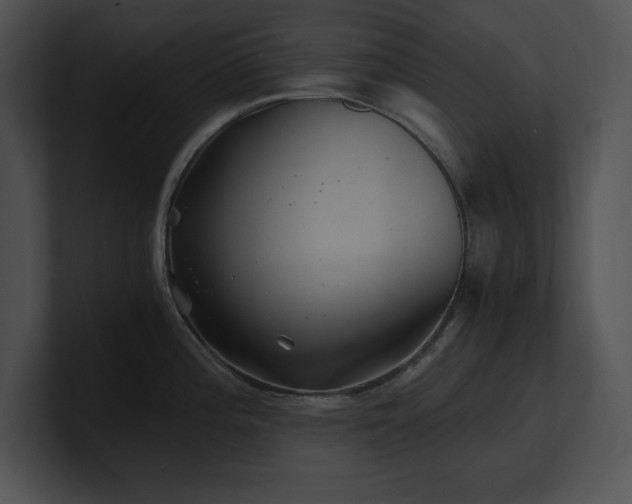 X0000100901196200806241246
