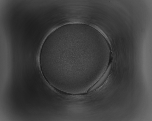 X0000100901197200806241246