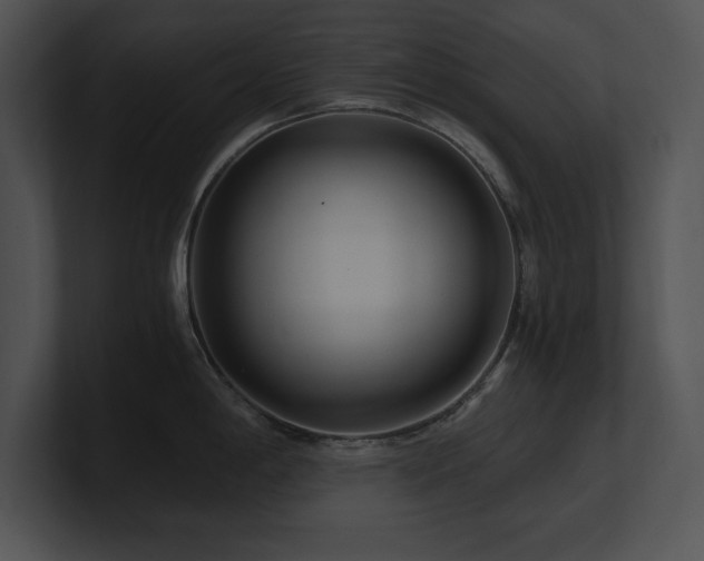 X0000100901198200806241246