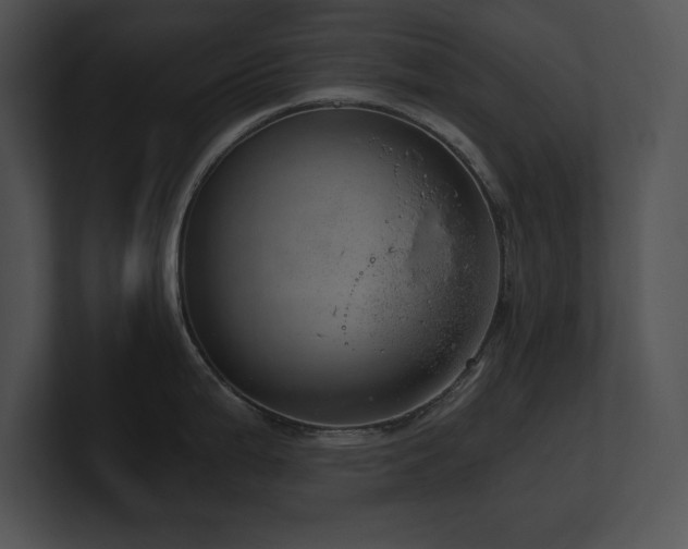 X0000100901199200806241246