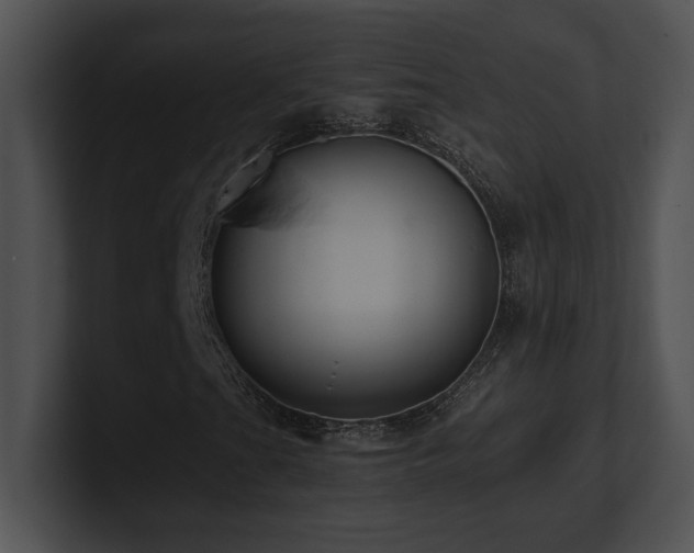 X0000100901201200806241245