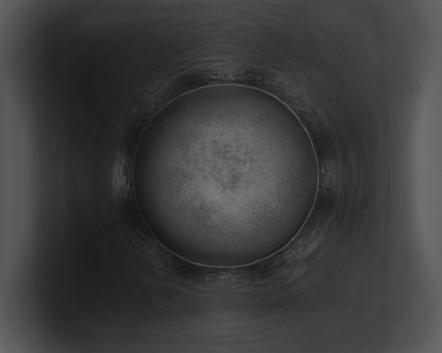 X0000100901202200806241245