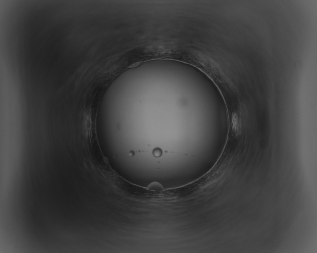 X0000100901203200806241245