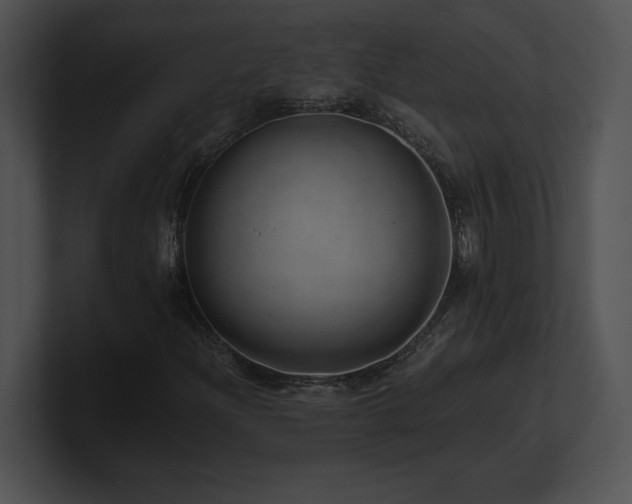 X0000100901204200806241245