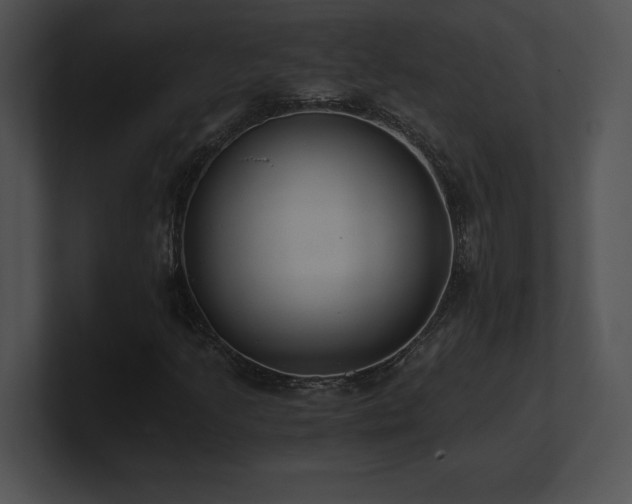 X0000100901205200806241245