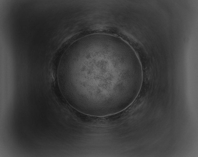 X0000100901206200806241245