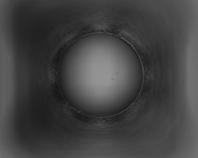 X0000100901207200806241245