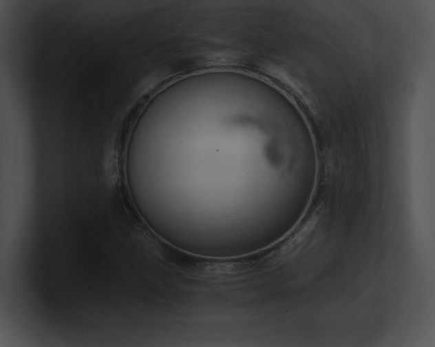 X0000100901211200806241245