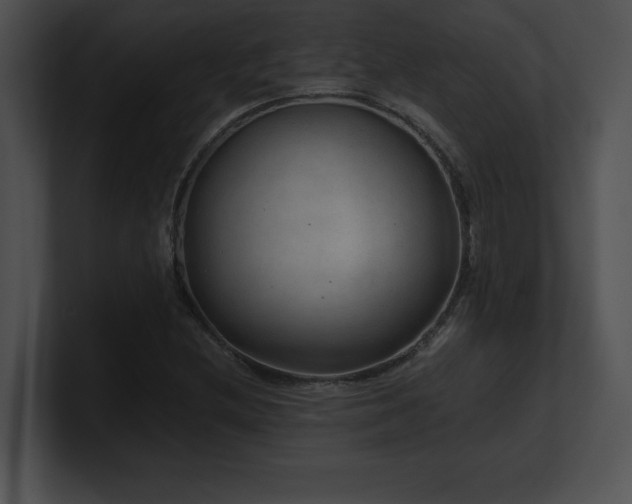 X0000100901212200806241245
