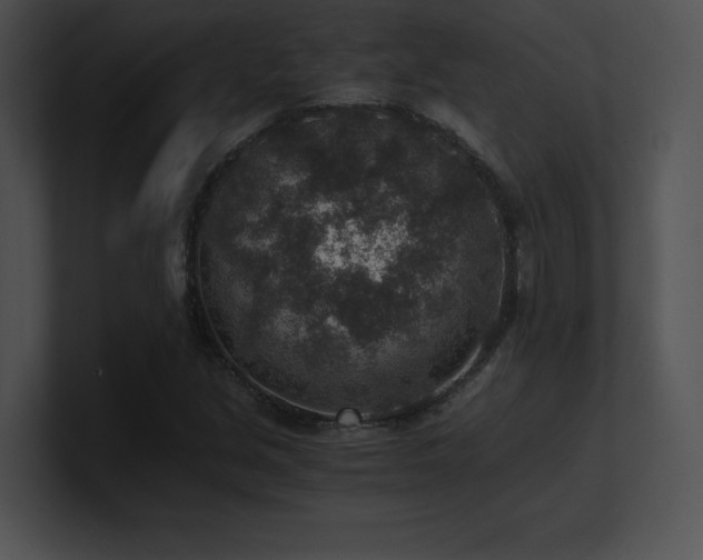 X0000100901213200806241245