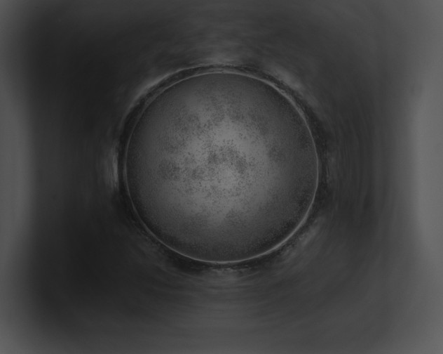 X0000100901214200806241245