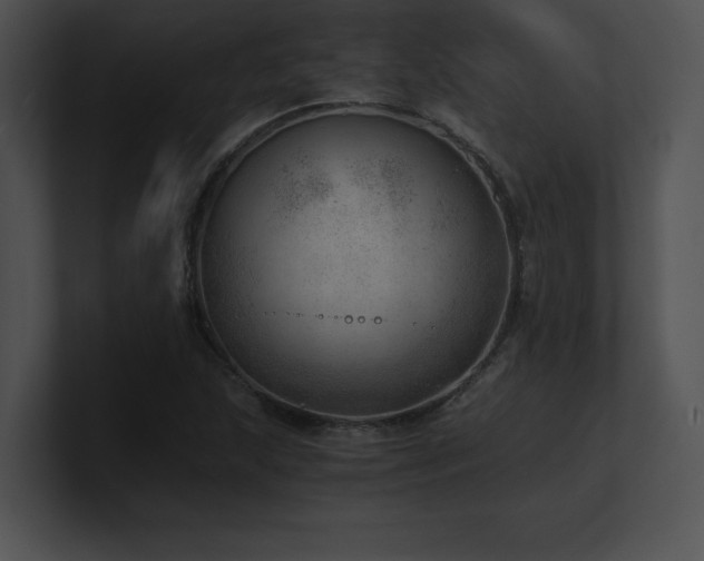 X0000100901215200806241245