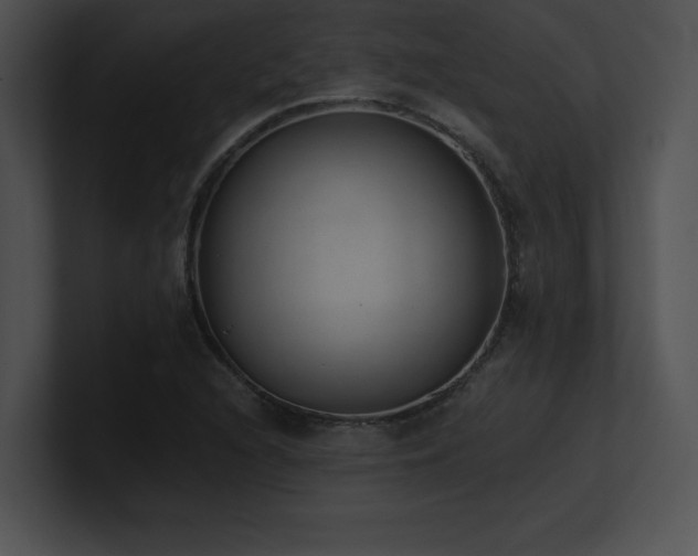 X0000100901216200806241245