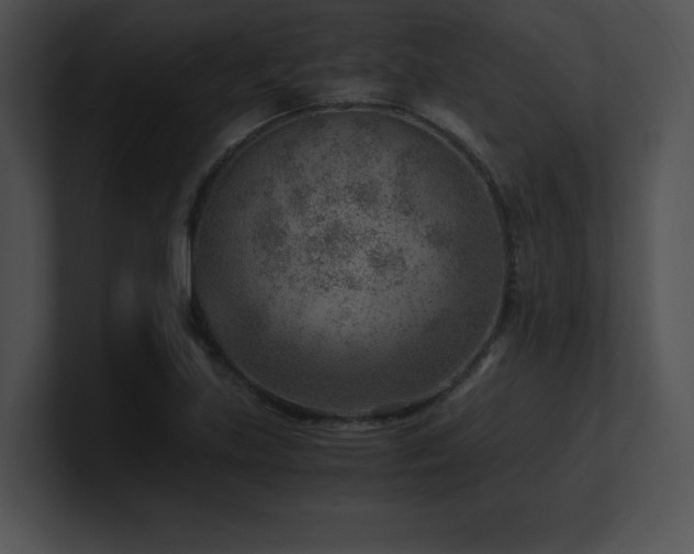 X0000100901219200806241245