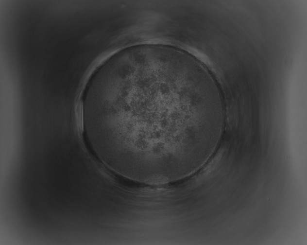 X0000100901223200806241245