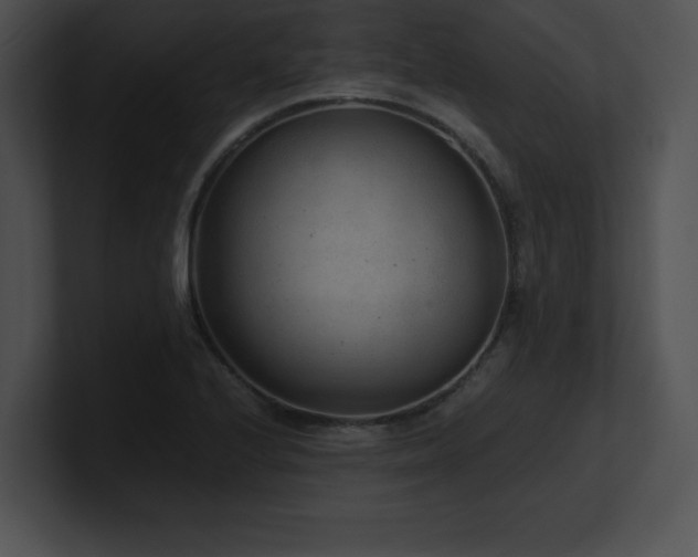 X0000100901224200806241245