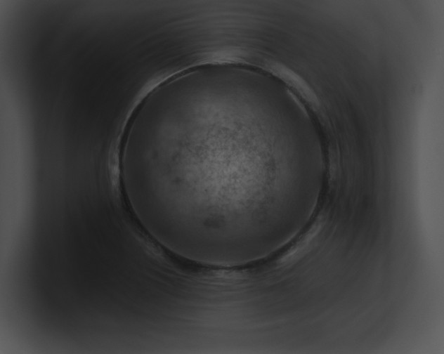 X0000100901226200806241245