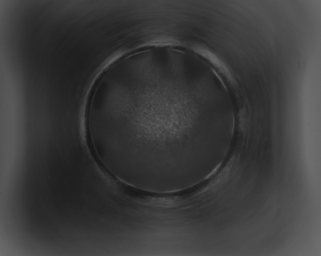 X0000100901229200806241245