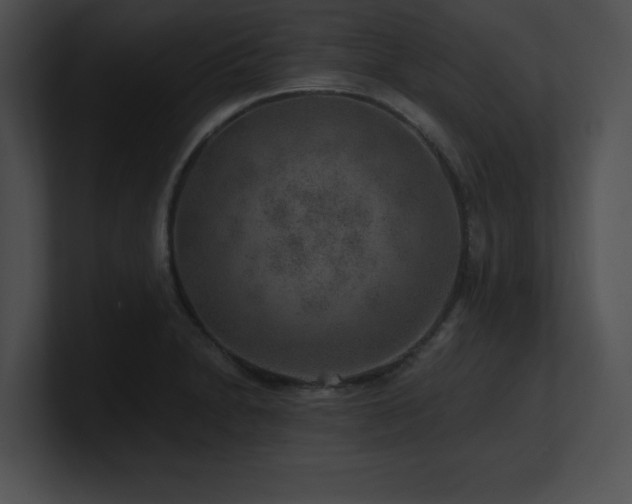 X0000100901230200806241245