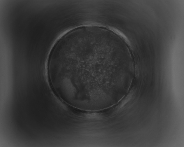 X0000100901231200806241245