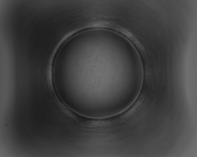 X0000100901232200806241245