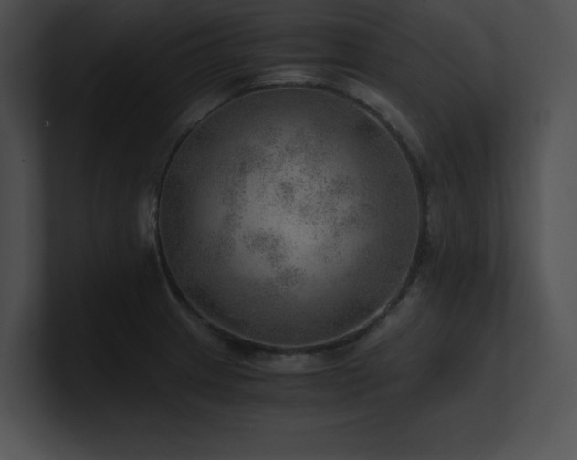 X0000100901233200806241245