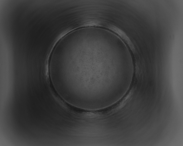 X0000100901234200806241245