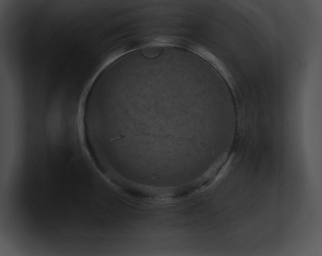X0000100901235200806241245