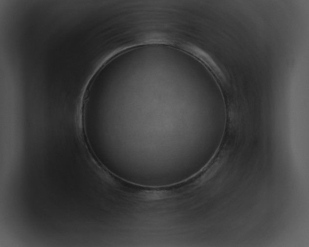 X0000100901236200806241245