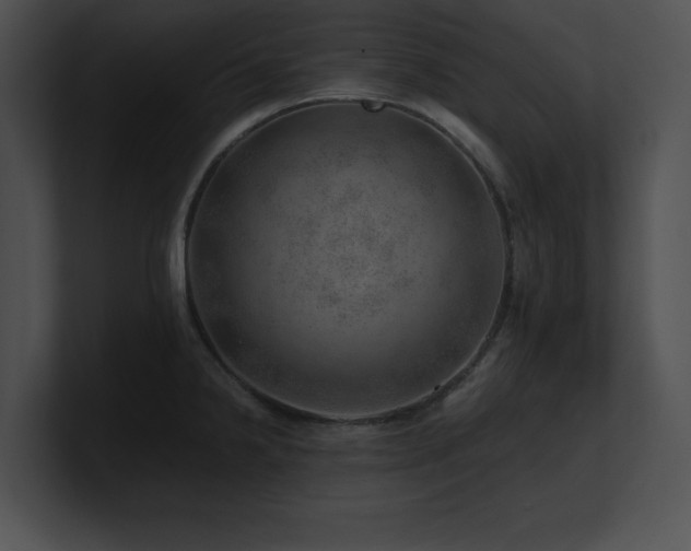 X0000100901238200806241245