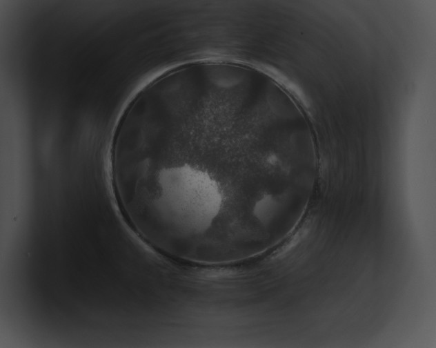 X0000100901239200806241245