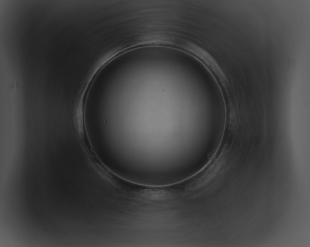X0000100901242200806241245