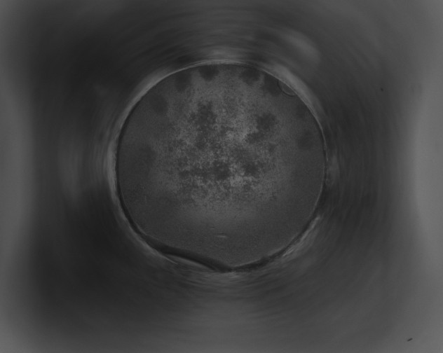 X0000100901243200806241245