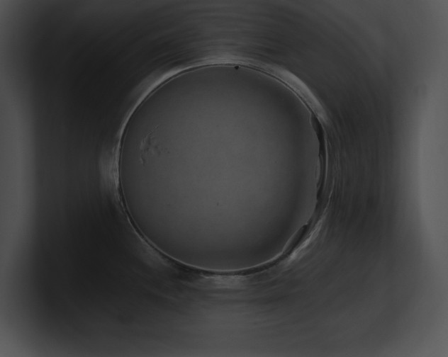 X0000100901244200806241245