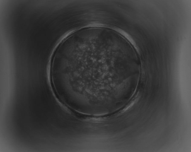 X0000100901245200806241245