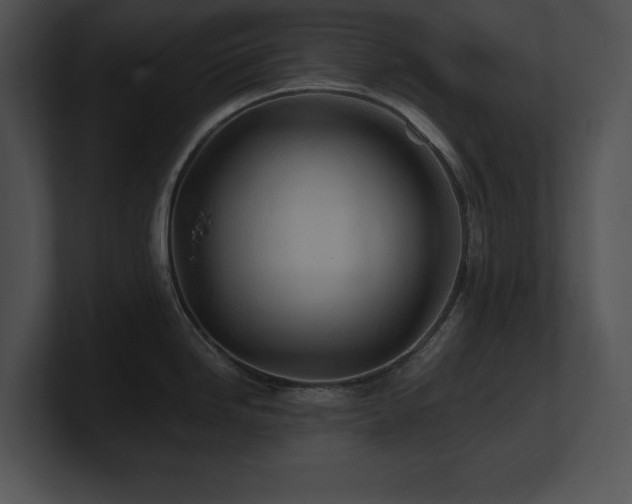 X0000100901246200806241245