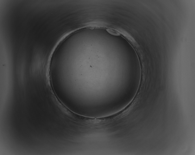 X0000100901248200806241245