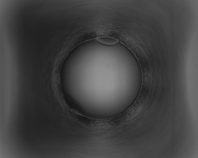 X0000100901249200806241245