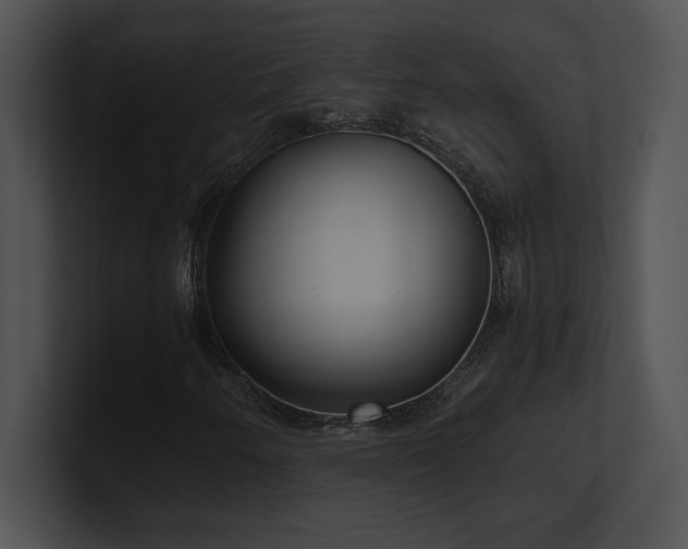 X0000100901250200806241245