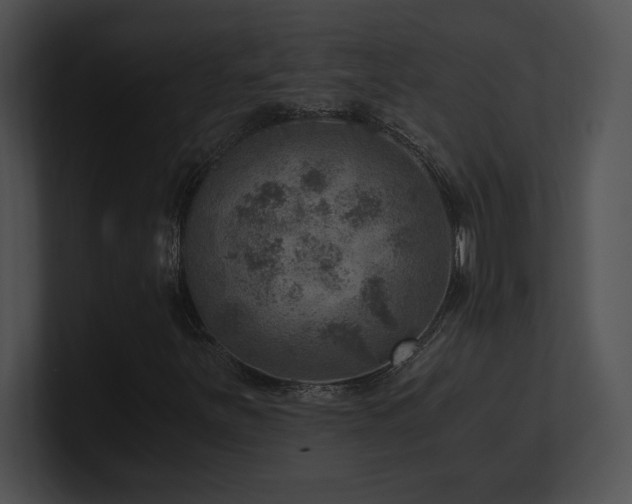 X0000100901251200806241245