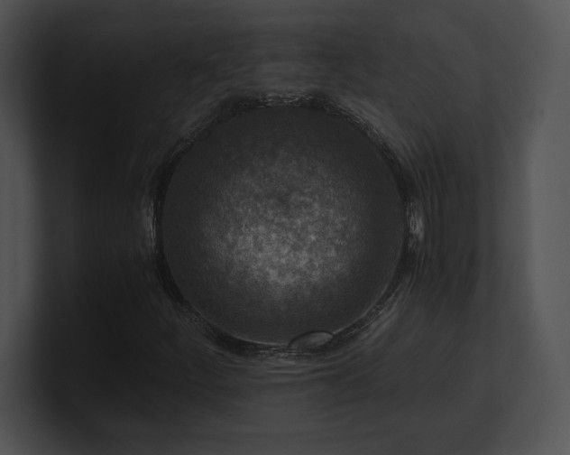 X0000100901252200806241245