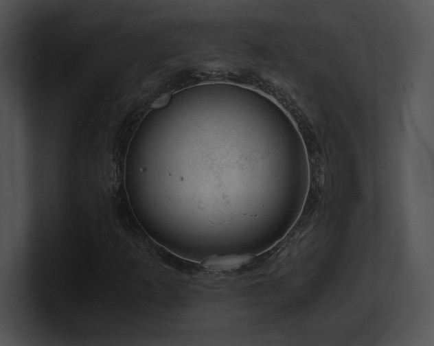 X0000100901253200806241245