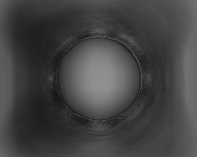 X0000100901254200806241245