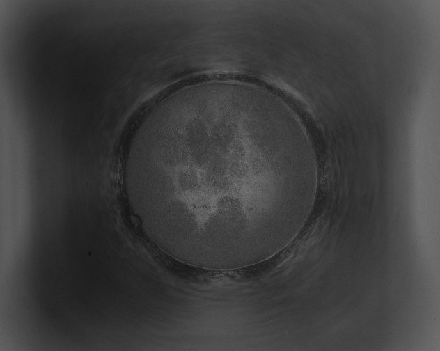 X0000100901255200806241245