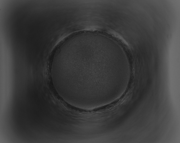 X0000100901256200806241245