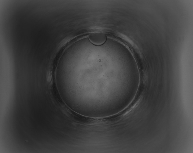 X0000100901259200806241245
