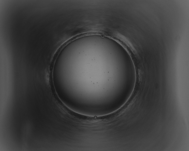 X0000100901260200806241245